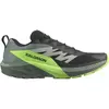 Salomon Trail Running Shoes Sense Ride Men's Shoes, Size: 42