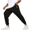 Puma Classics Small Logo Men's Pant, Size: M, 3 image