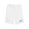 Puma Ess+ Love Wins 9'' Tr Aνδρικό Σορτς, Μέγεθος: XL