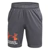 Under Armour Ua Tech Logo Shorts , Μέγεθος: M
