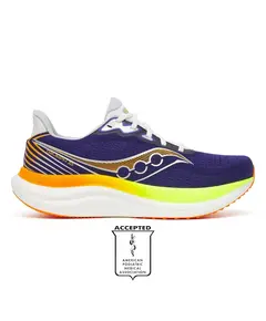Saucony Triumph 23 Ανδρικά Παπούτσια, Μέγεθος: 42