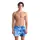 Arena Beach Short Allover Ανδρικό Μαγιό, Μέγεθος: S, 9 image