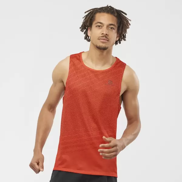 Salomon Sense Aero Singlet Ανδρικό Αμάνικο, Μέγεθος: S, 2 image