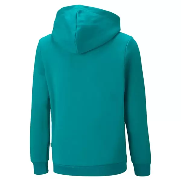 Puma Ess+ 2 Col Big Logo Hoodie Fl , Μέγεθος: 128cm, 2 image