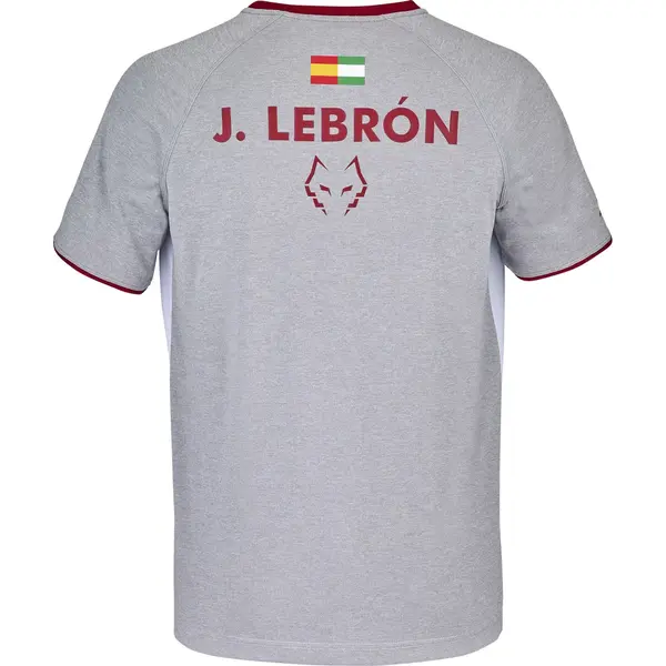 Babolat Crew Neck Tee Lebrσn , Μέγεθος: M, 2 image