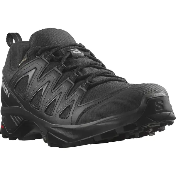 Salomon X-Series X Braze Gtx Ανδρικά Παπούτσια, Μέγεθος: 46, 6 image