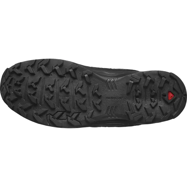 Salomon X-Series X Braze Gtx Ανδρικά Παπούτσια, Μέγεθος: 46, 3 image