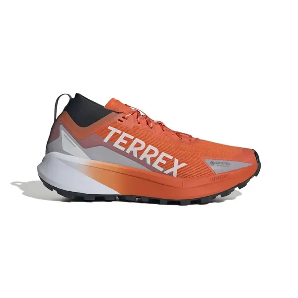 Adidas Terrex Agravic Gtx Ανδρικά Παπούτσια, Μέγεθος: 45 1/3